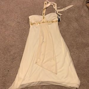 Creme colored dress with gold sequins